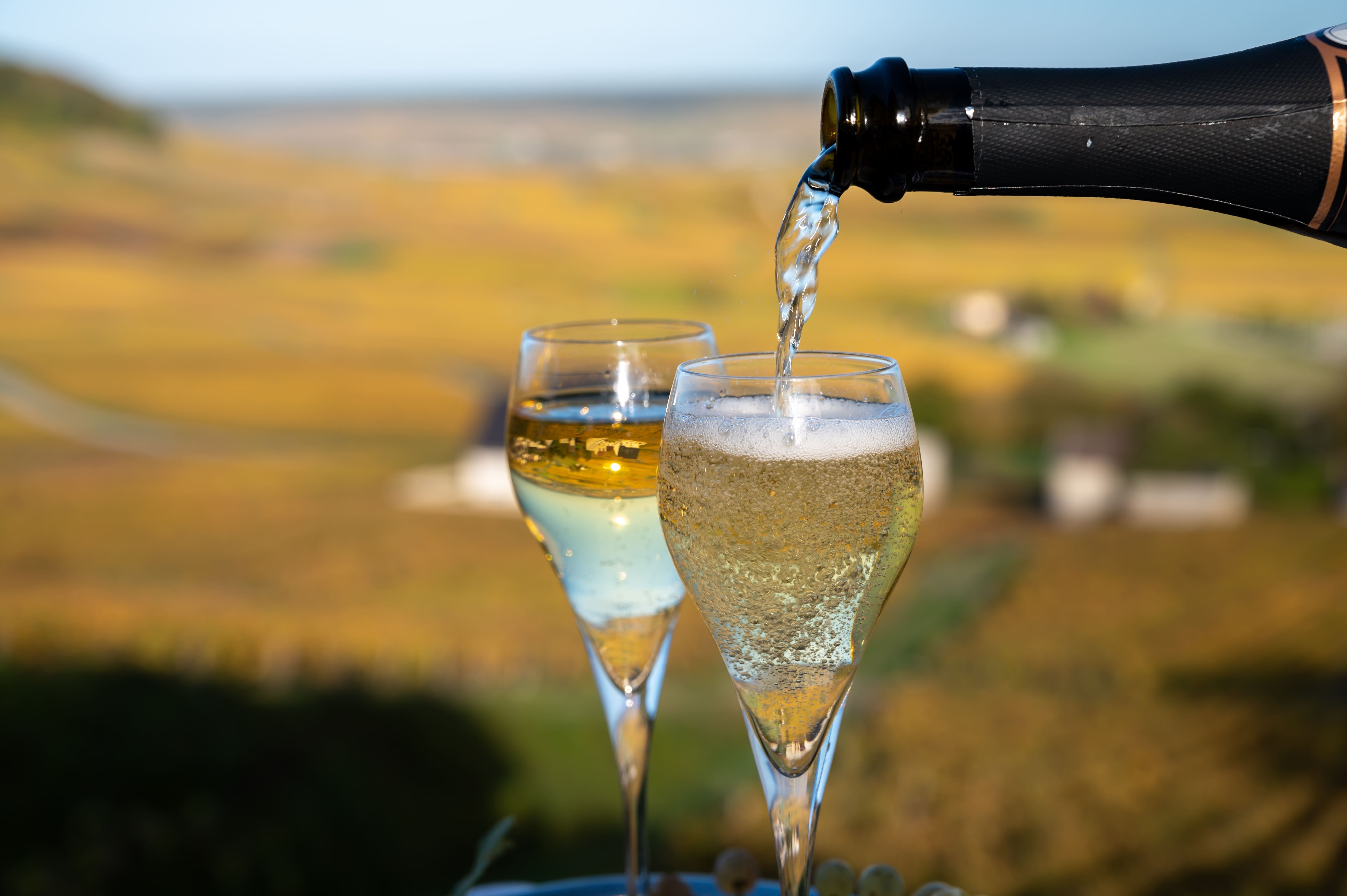 Sparkling wine clinking in French vineyard in October