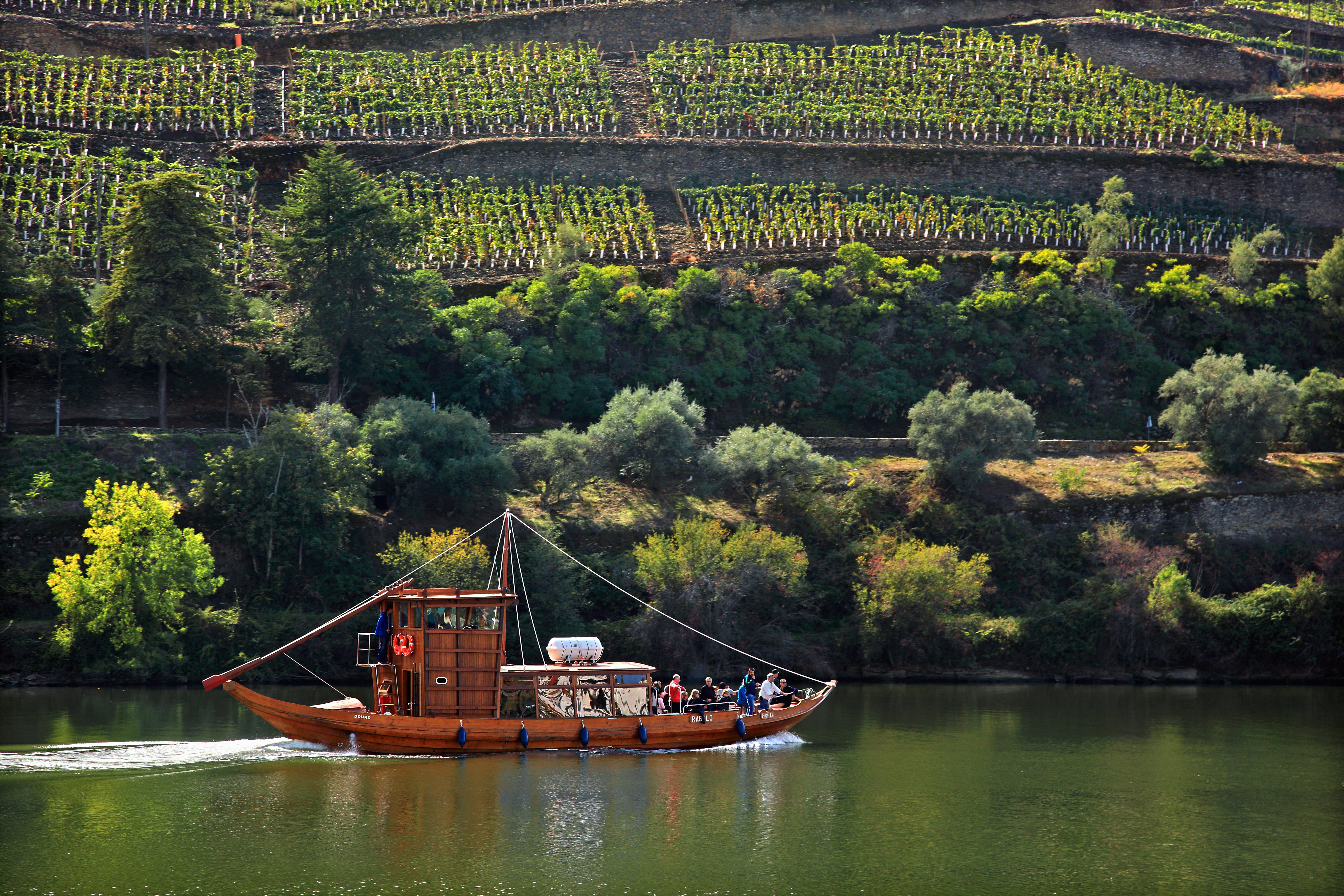 Traditional boat on a river in the Douro Valley, Portugal in October