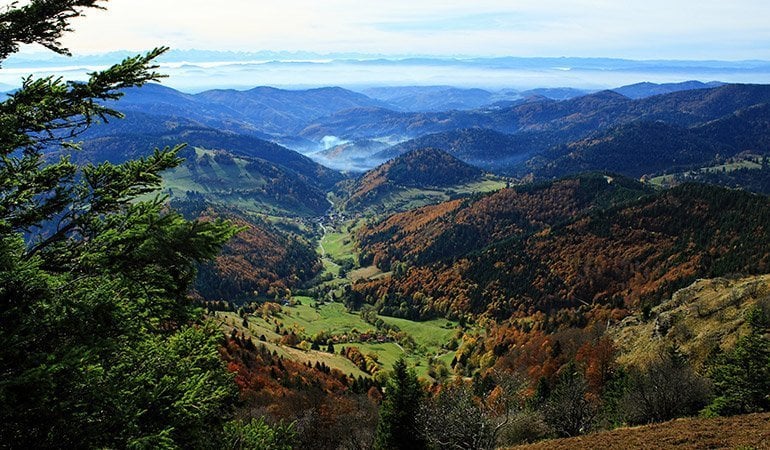 places to visit in Germany Black Forest
