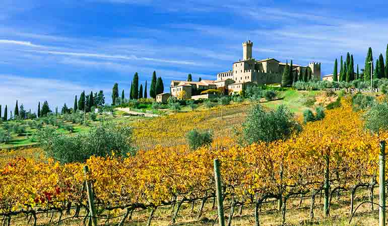 tuscan wines guide castello Banfi