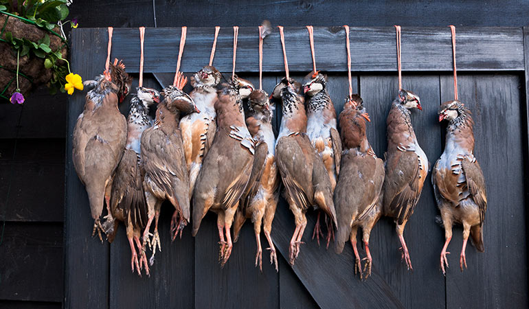 best gastropubs in London 2019 pheasants