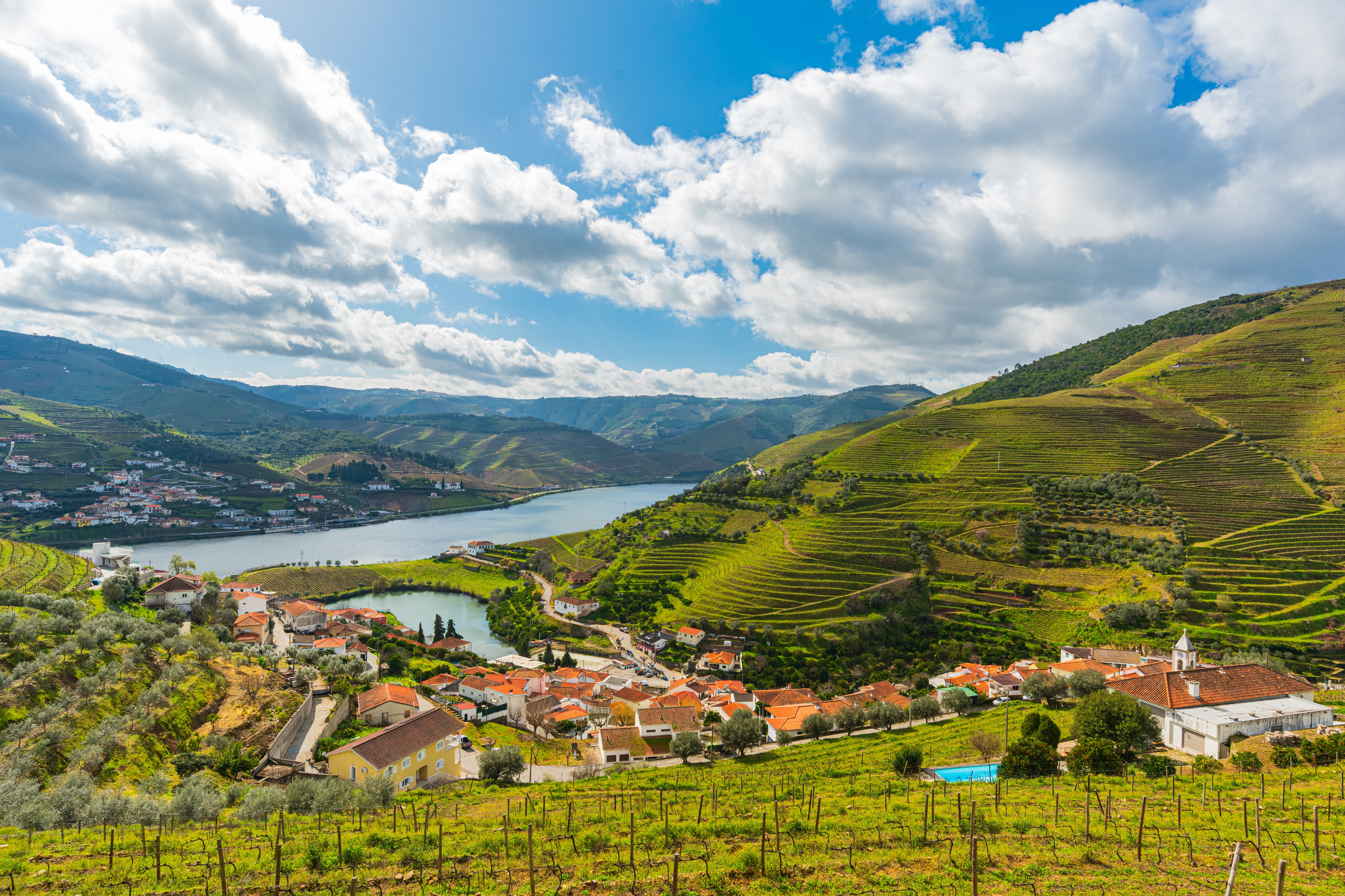 Wine Tasting in the Douro Valley