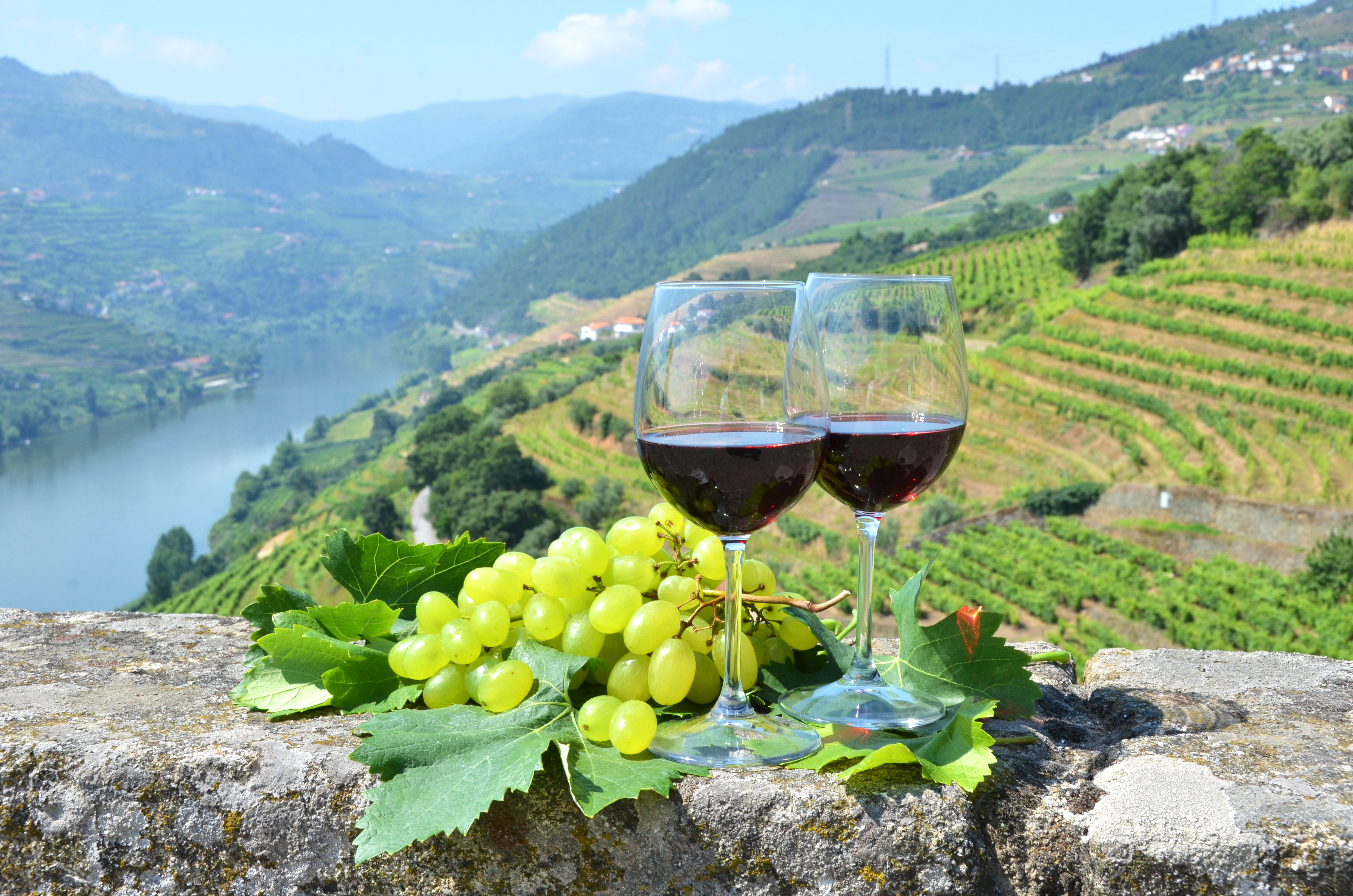 Wine glasses of red wine against a backdrop of the vineyards of the Douro Valley