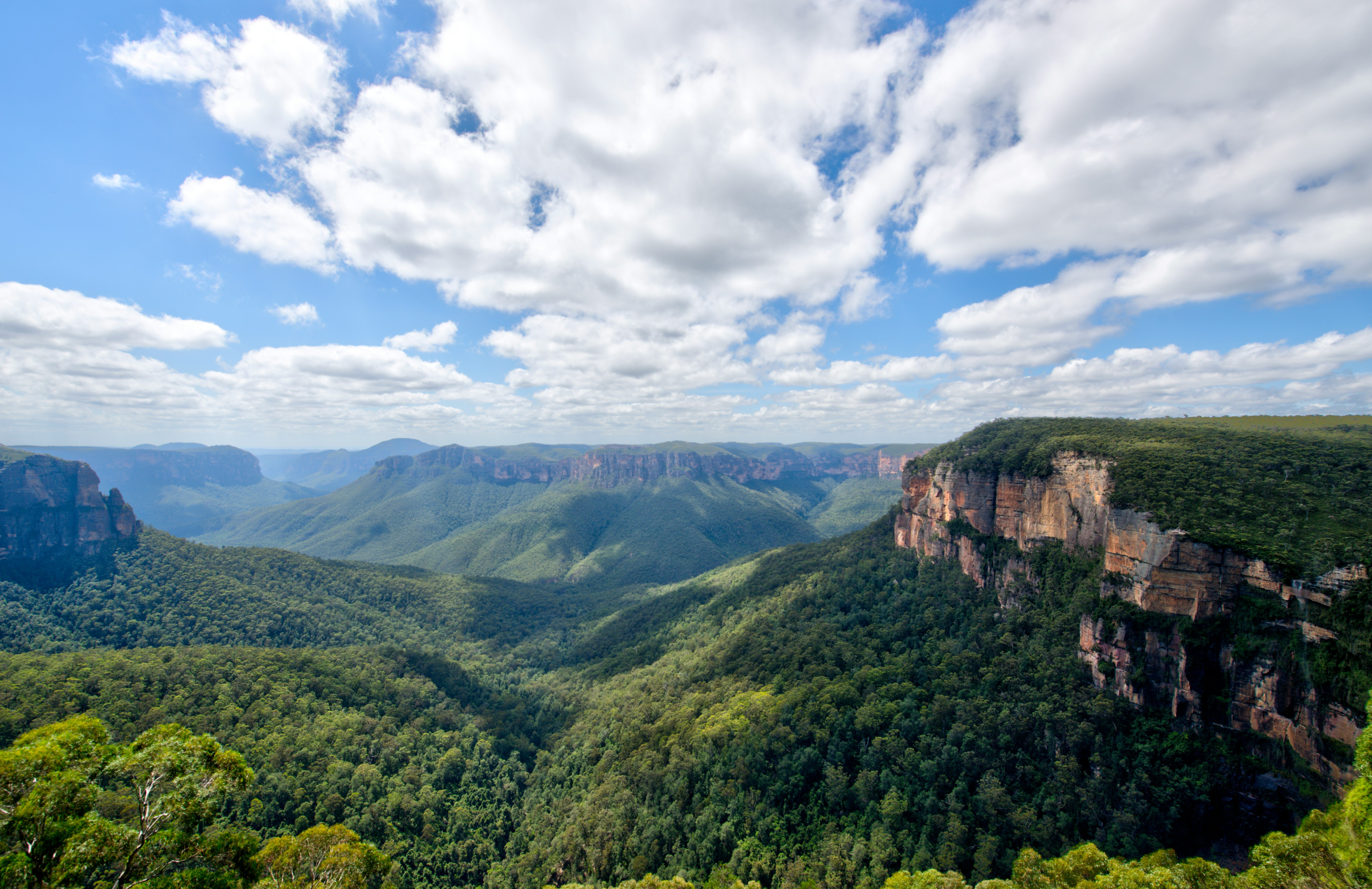 Hiking or Camping in the Blue Mountains 