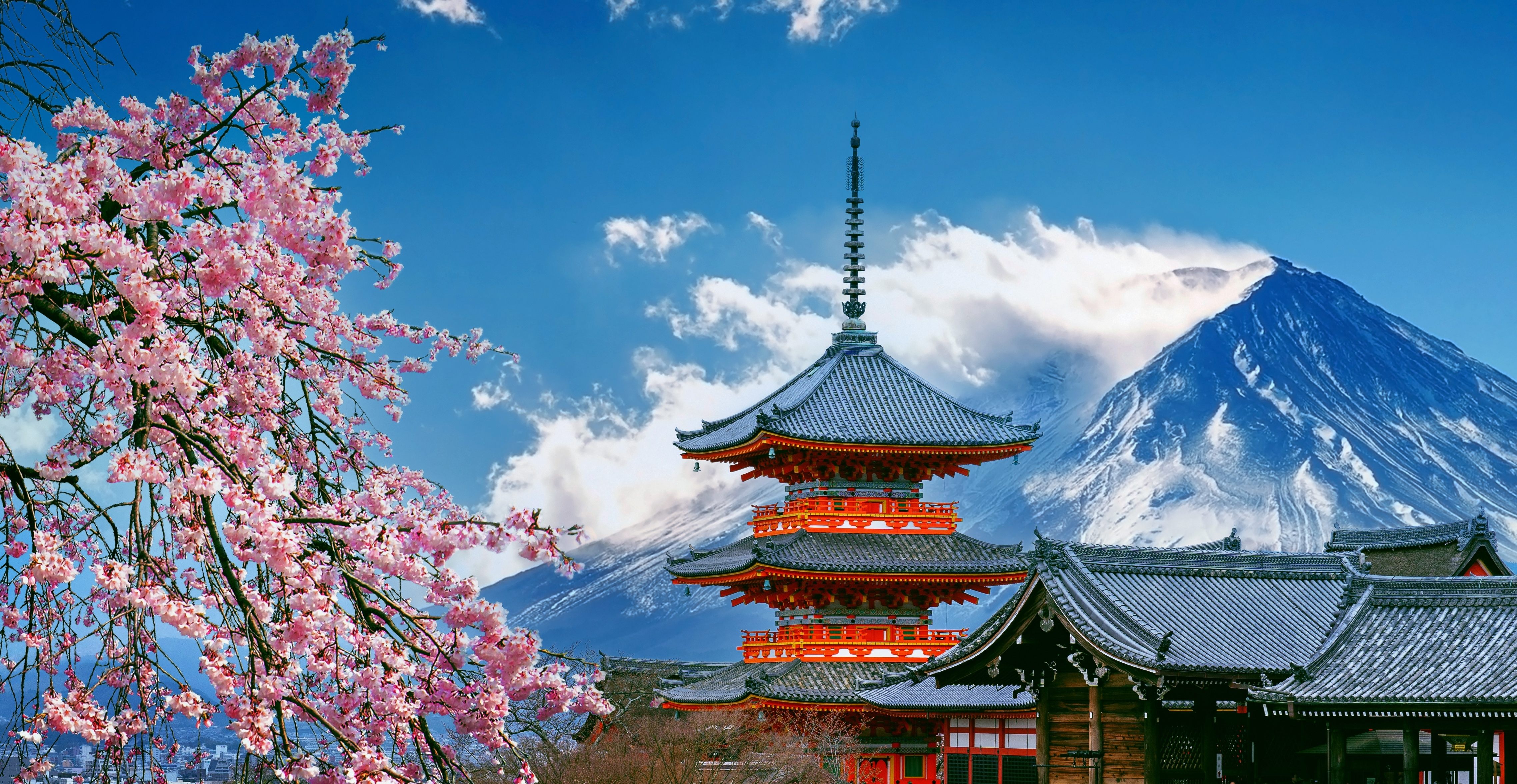 Cherry blossoms and red pagoda near Tokyo, Japan