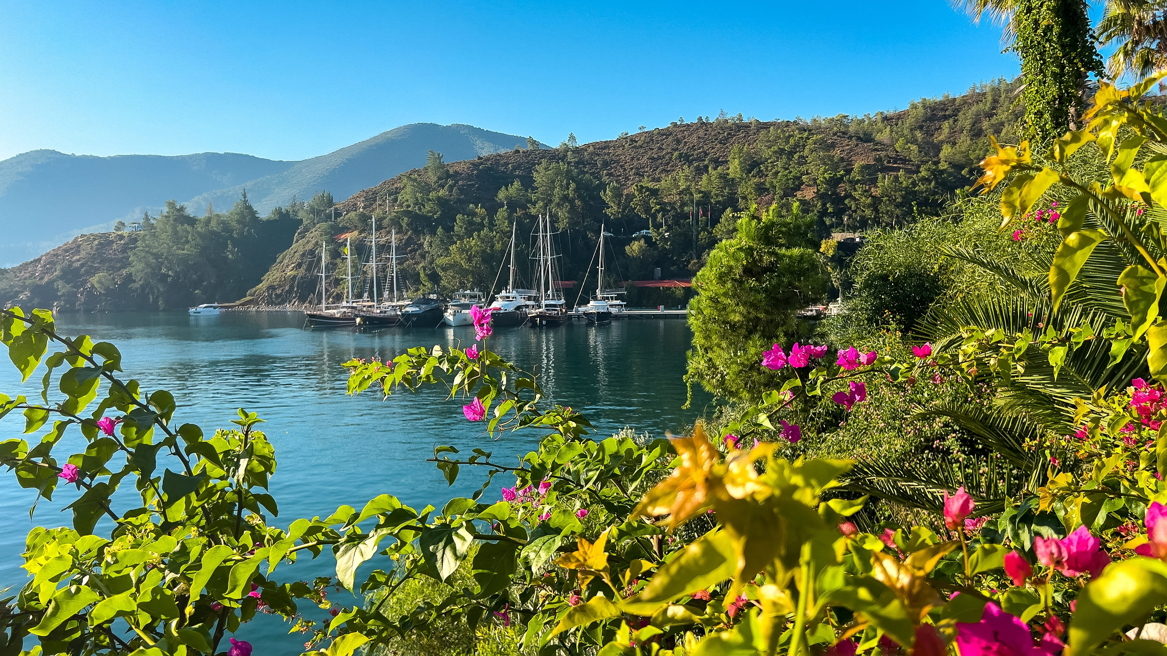 View of pretty cove surrounded by flowers in Kalyan