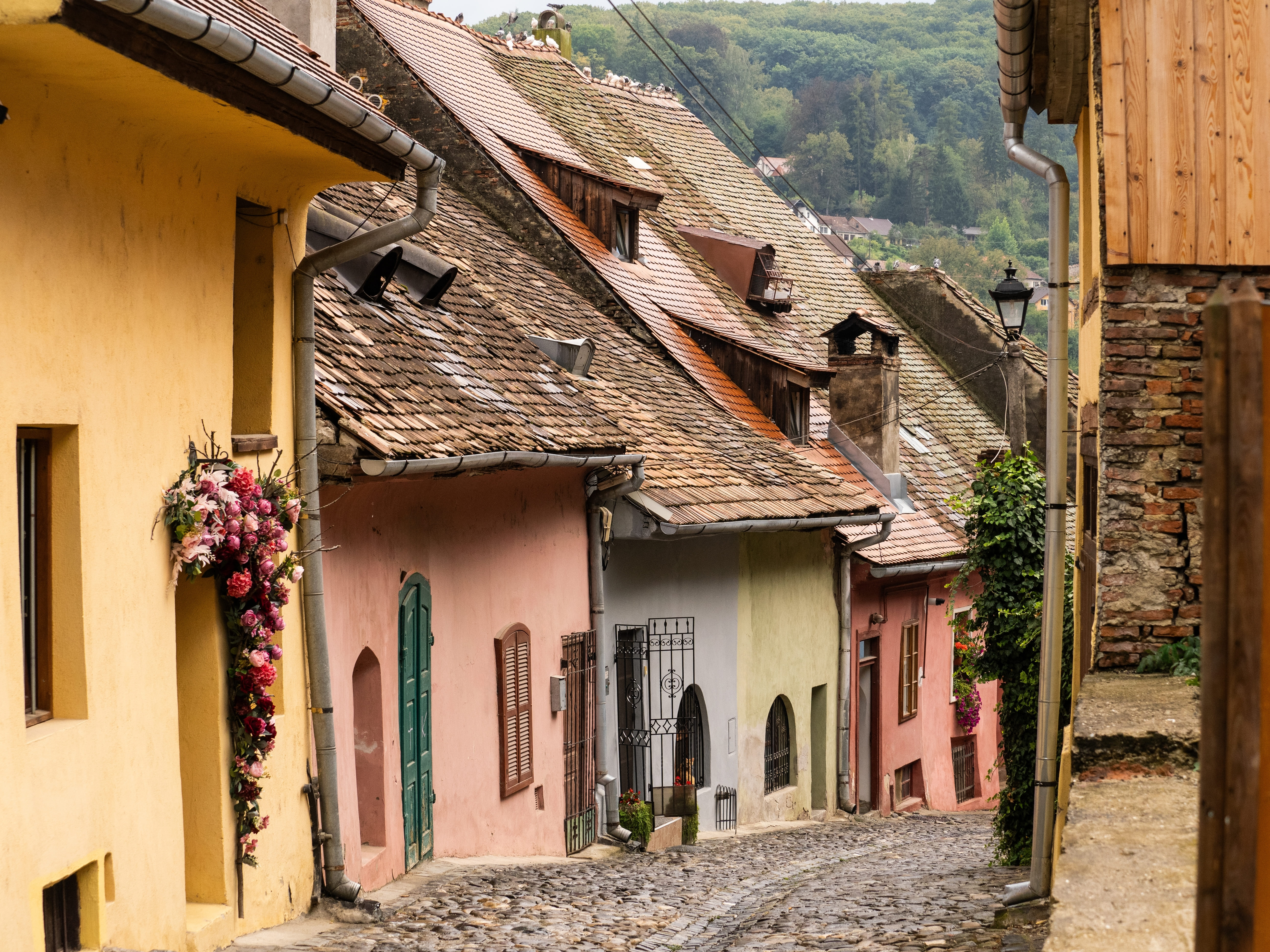 Uphill view on empty Sighisoara street with colorful medieval houses, Romania