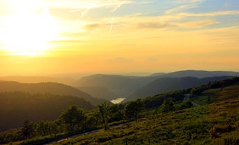 Diverse Natural Parks