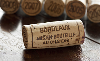 what to do in Bordeaux wine and cheese tour
