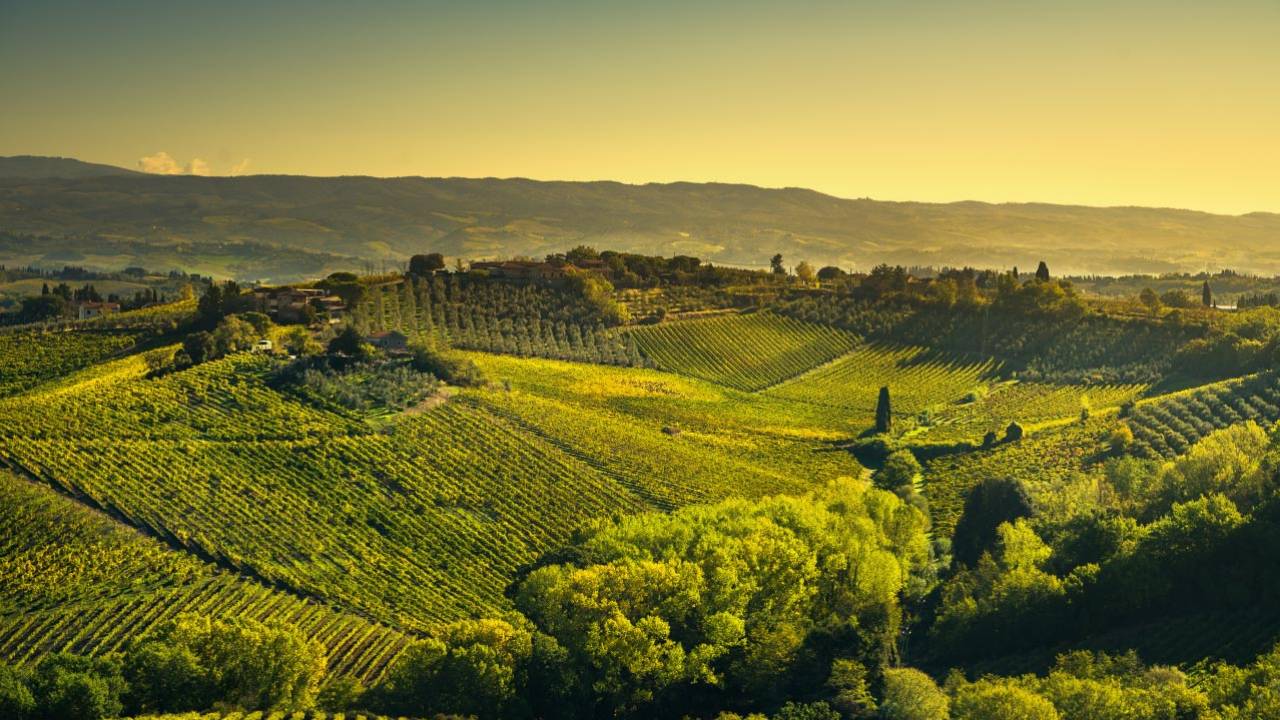 Book Florence Wine Tours with Tuscany Road Trip | DoTravel