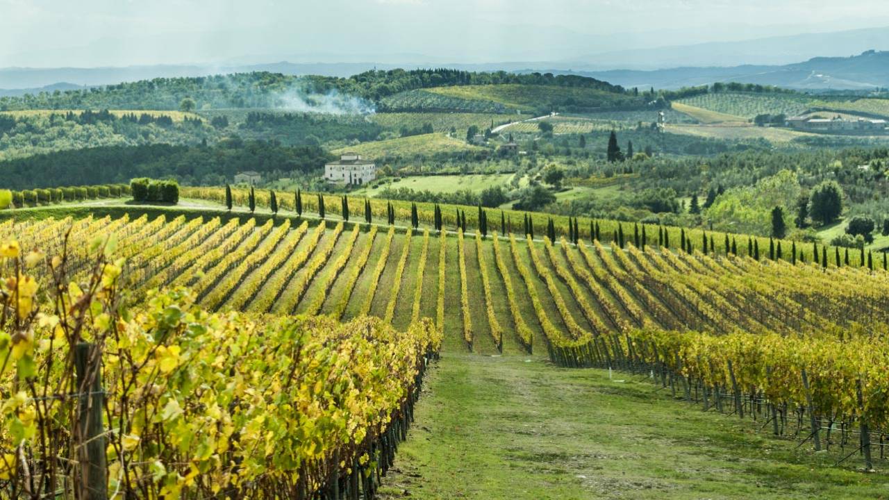 Book Chianti Wine Tour: 2 Wine Tastings and 2 Villages | DoTravel