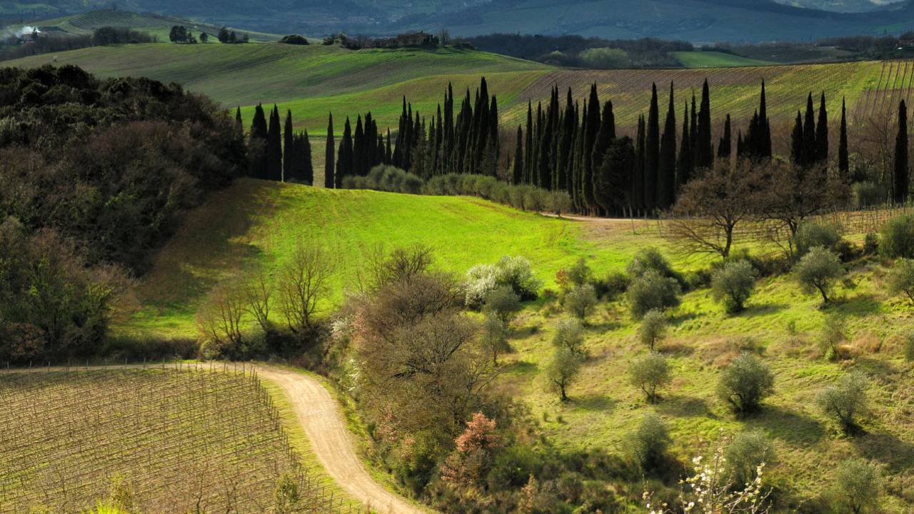 Book Siena and Chianti PrivateTour from Florence | DoTravel