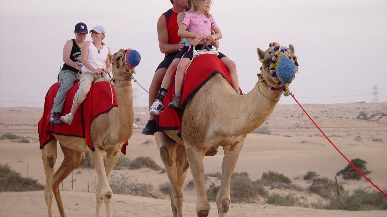 Book Dubai Evening Quad Bike Ride And Desert Safari Dotravel