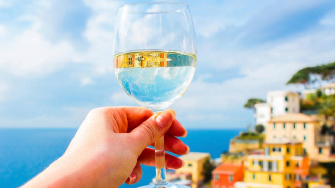 Book Manarola Tour Vineyards and Wine Tasting DoTravel