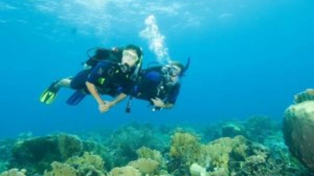 discover scuba diving in dubai