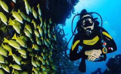 Discover Scuba Diving Fujairah 