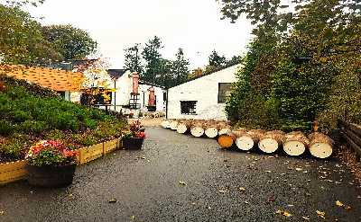 Scottish Castles & Whisky Tour