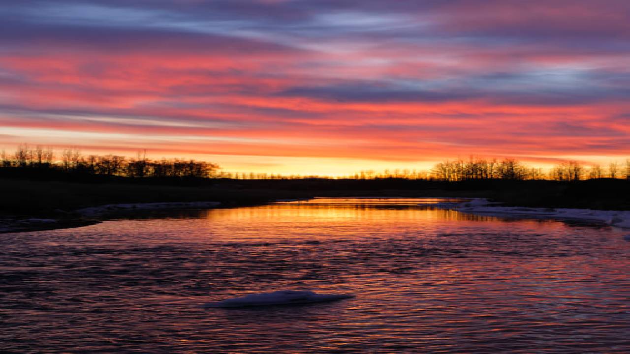 Golden Circle & Secret Lagoon Small Group Tour 