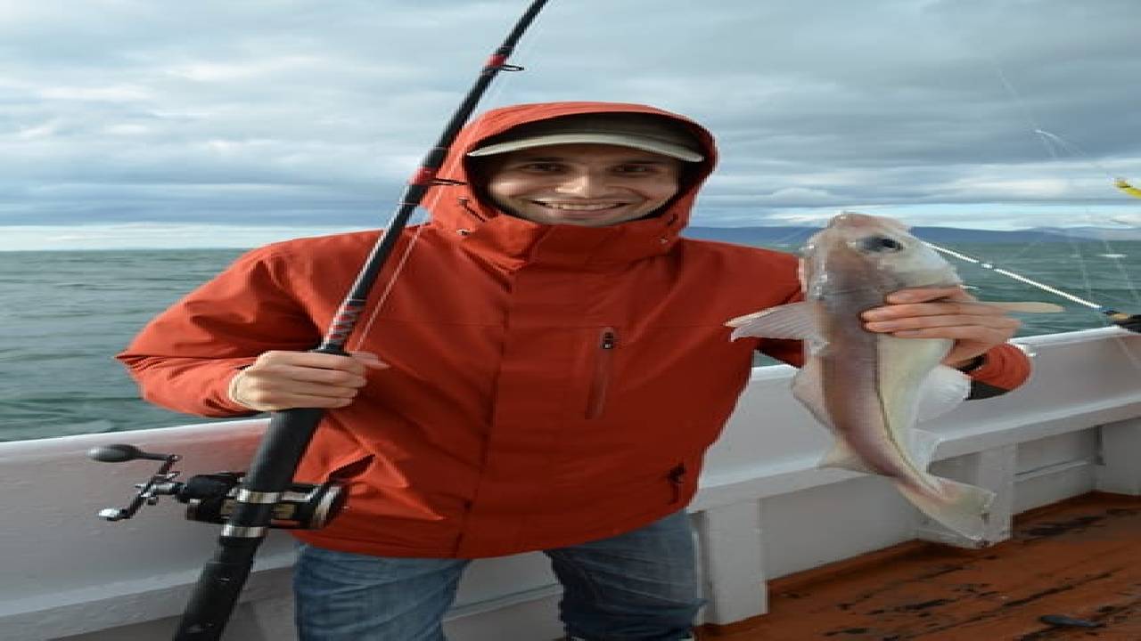 Ocean Angling Reykjavik Sea Angling & Fishing Tour from Old Harbour