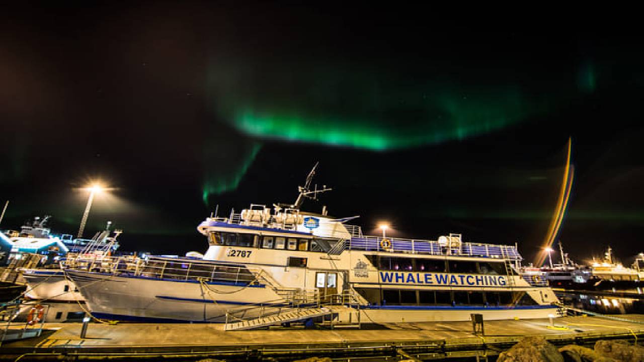 Northern Lights by Boat
