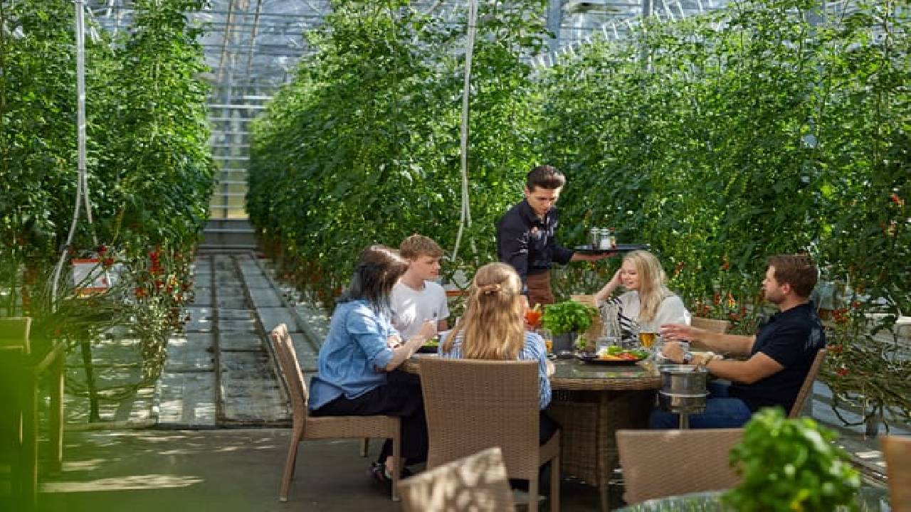 Customizable Private Golden Circle, Secret Lagoon & Friðheimar Adventure