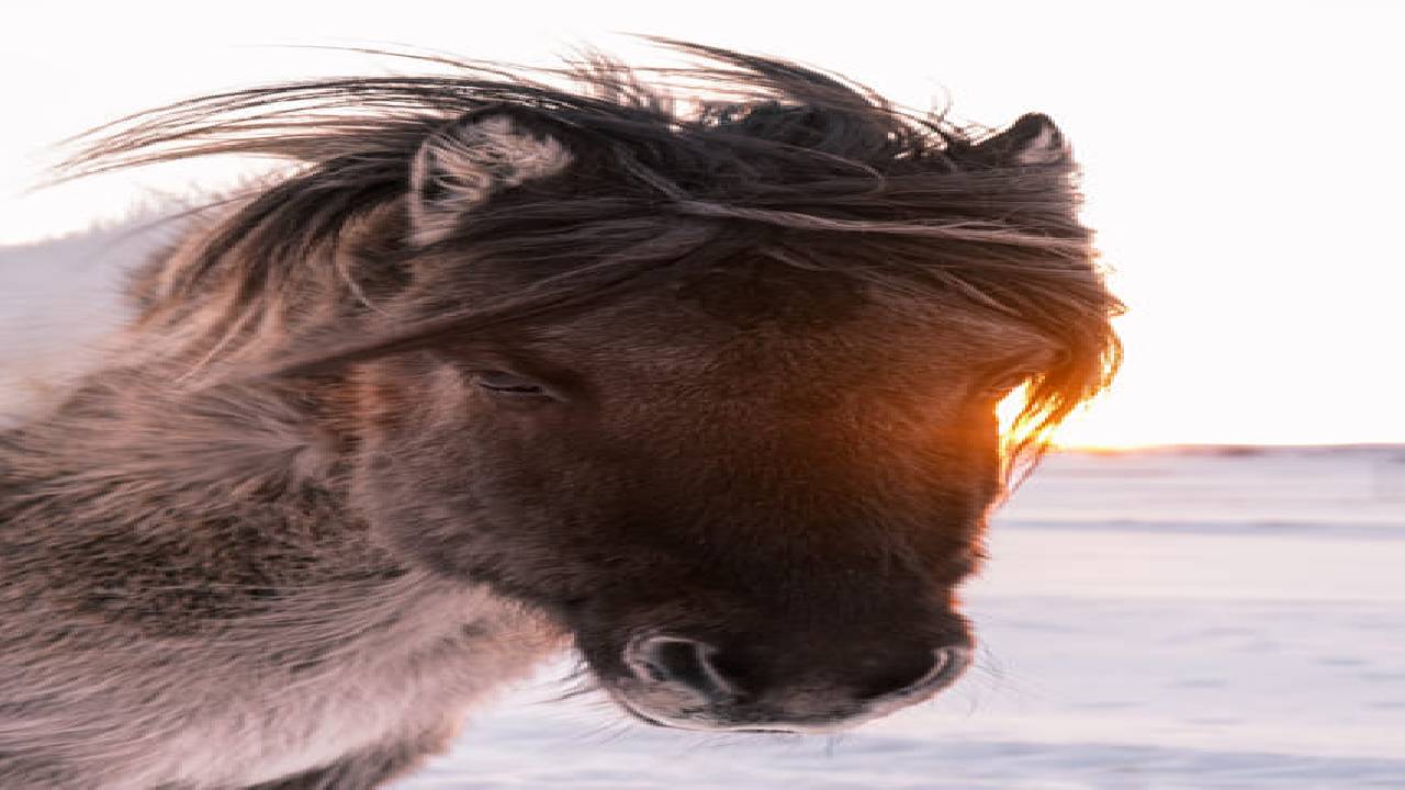 Private South Coast Adventure – Design Your Ultimate Icelandic Journey