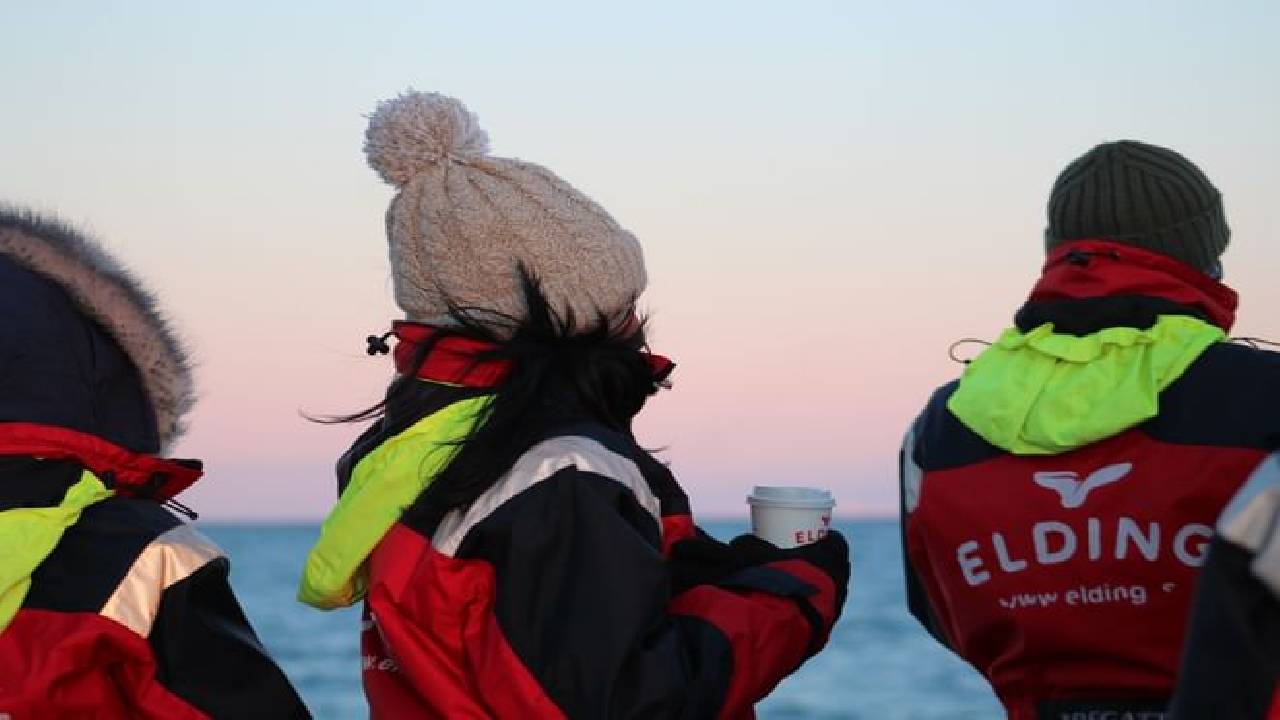 Reykjavík Classic Whale Watching 