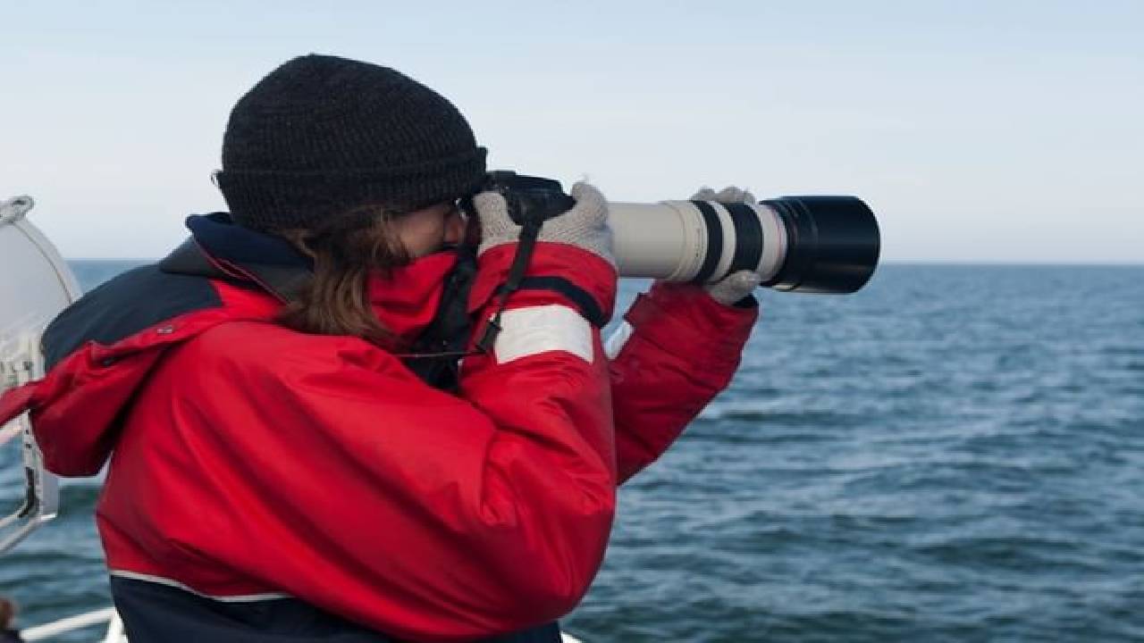 Reykjavík Classic Whale Watching 