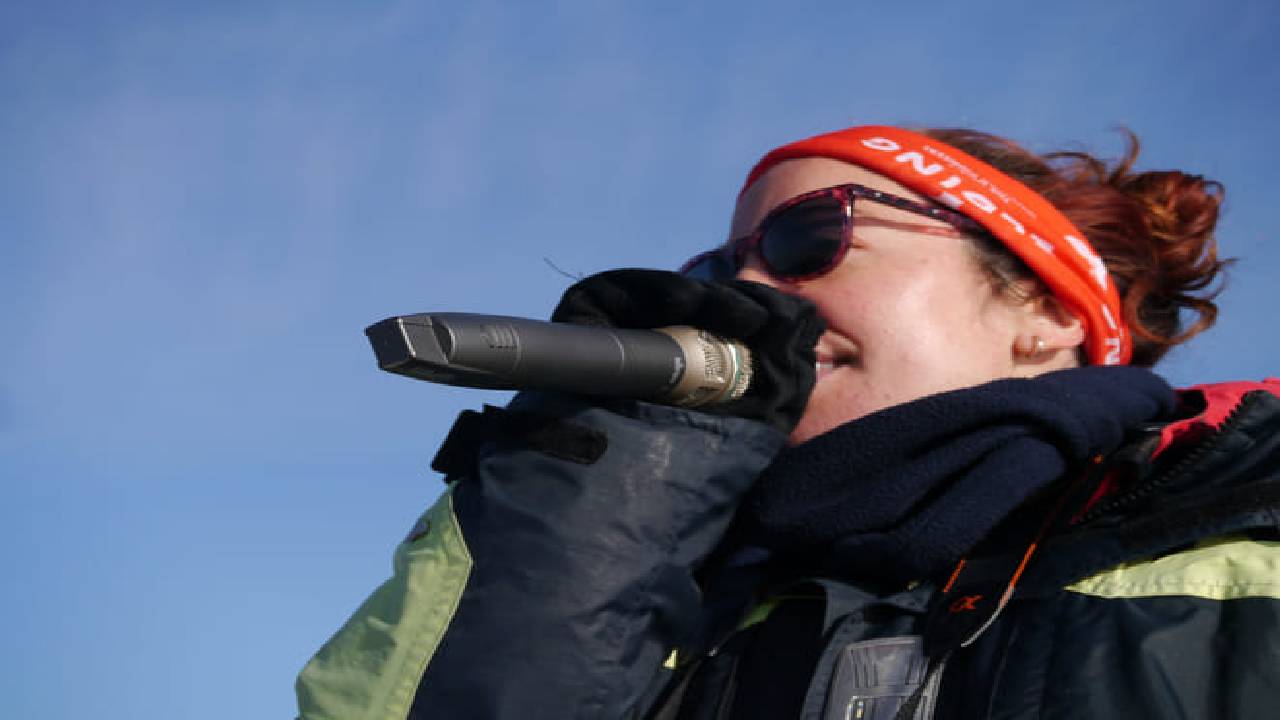 Reykjavík Classic Whale Watching 