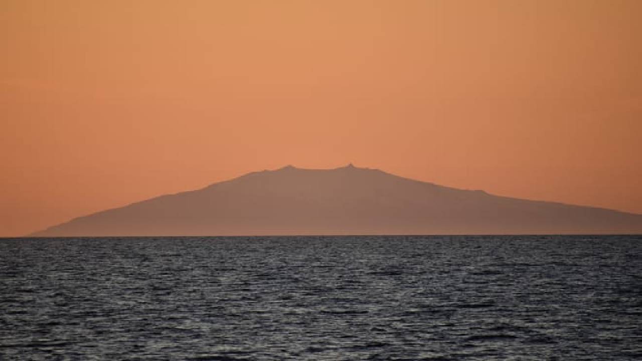 Reykjavík Classic Whales in the Midnight Sun