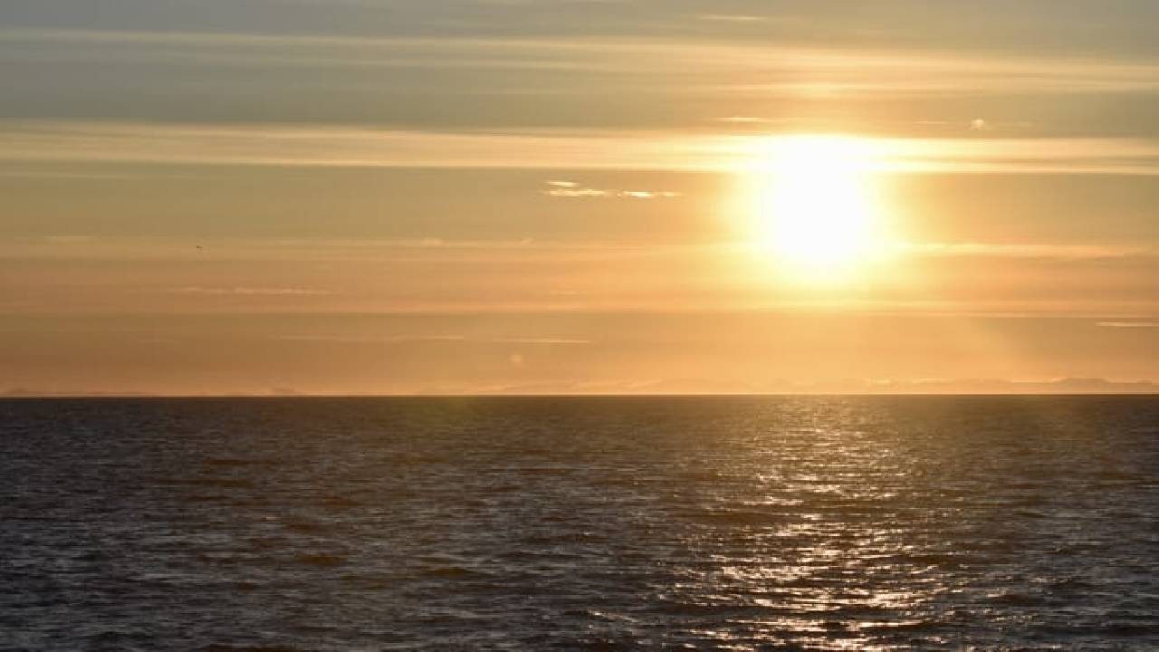 Reykjavík Classic Whales in the Midnight Sun