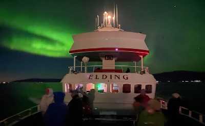 Reykjavík Northern Lights & City Cruise