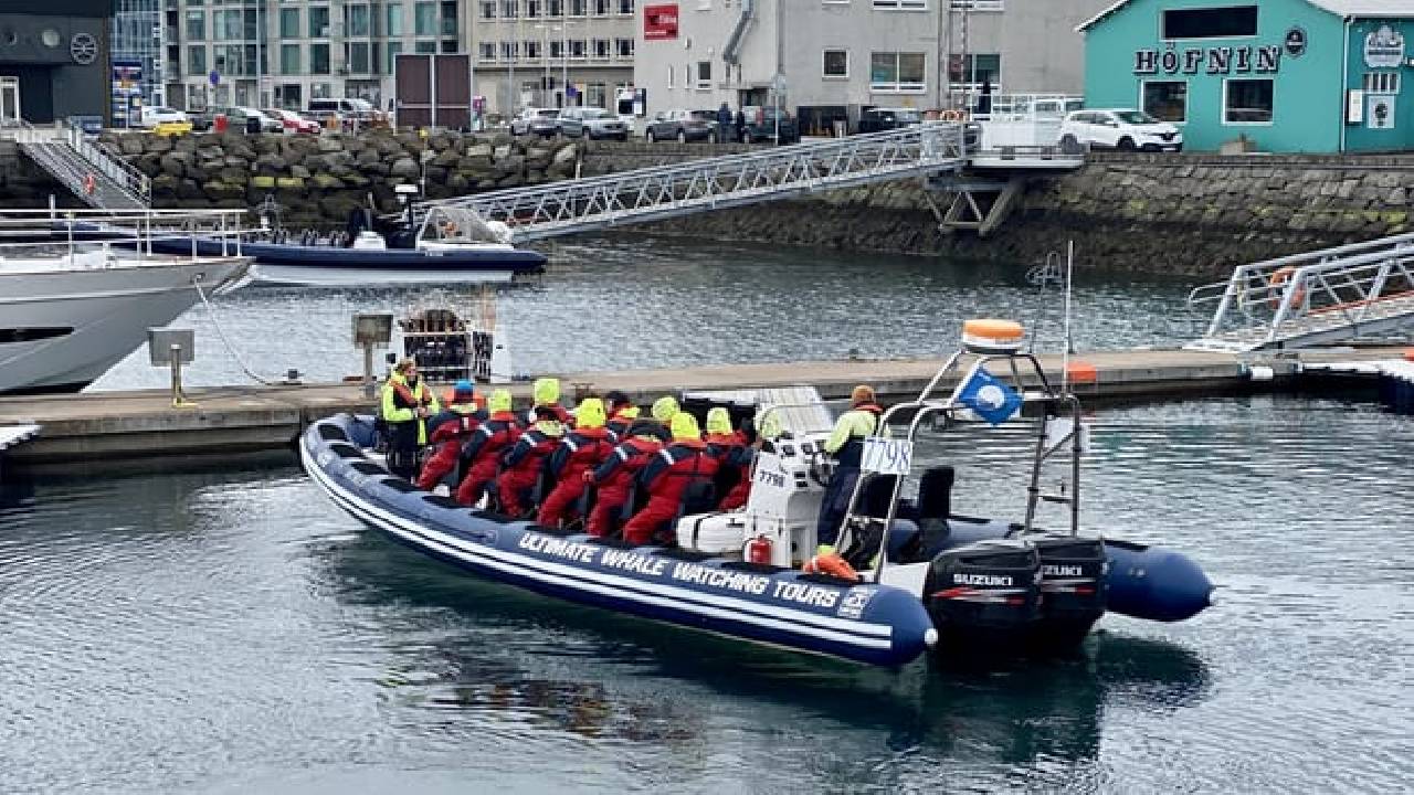Reykjavík Premium Puffin Watching