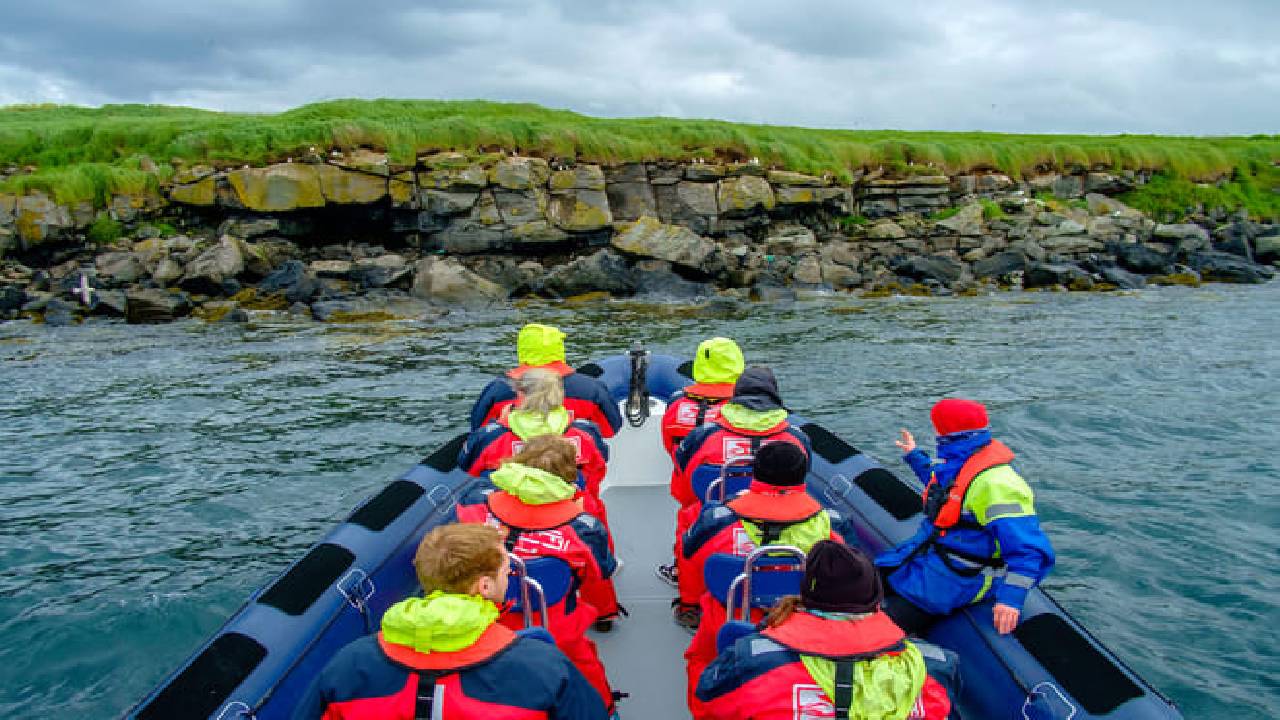 Reykjavík Premium Puffin Watching