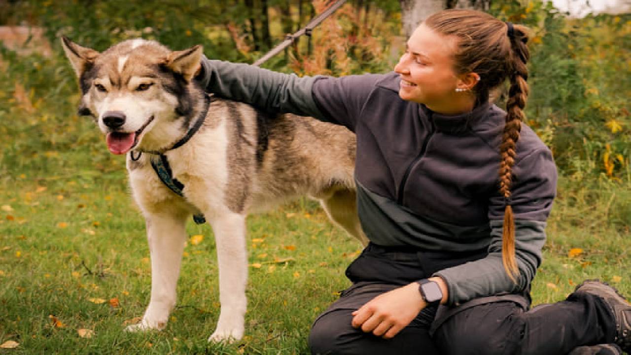 Husky Safari Autumn Tour & Barbeque - 6-10 km Self-Driving Mushing - Small Group