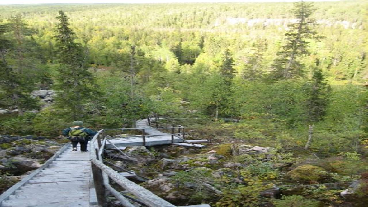 Korouoma Canyon Hike Tour & Barbeque - Small Group