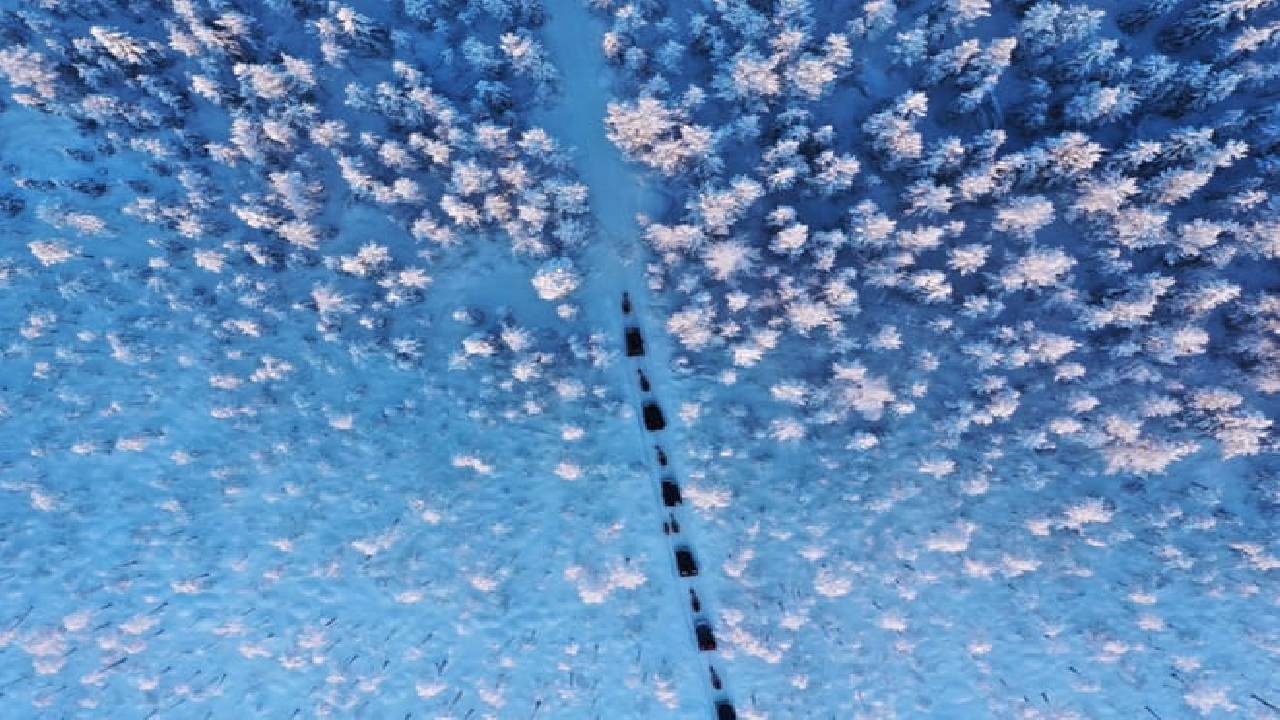 Reindeer Safari at a 200-Year-Old Farm & 2.5 km Sled Ride