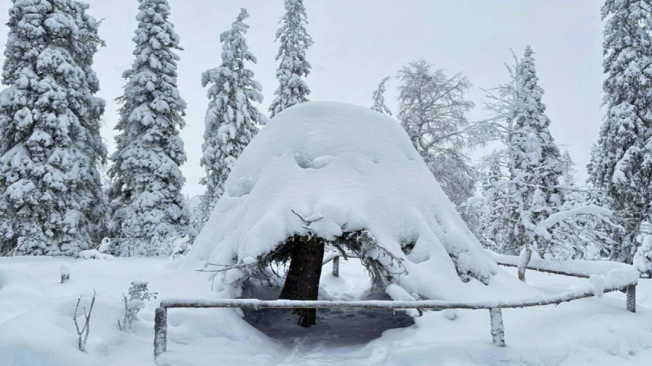 Riisitunturi Wilderness Expedition & Barbeque - Small Group