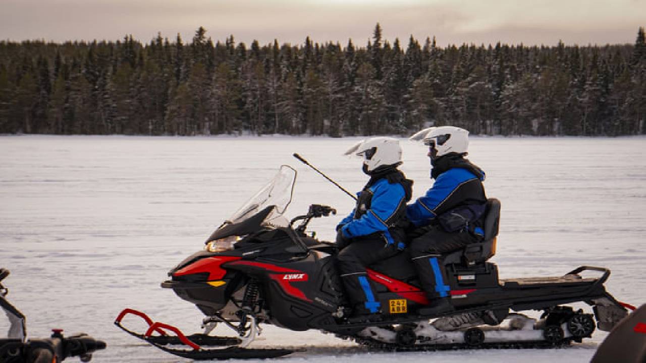 Snowmobile Safari Winter Tour & Barbeque - 1 Hour Driving - Small Group
