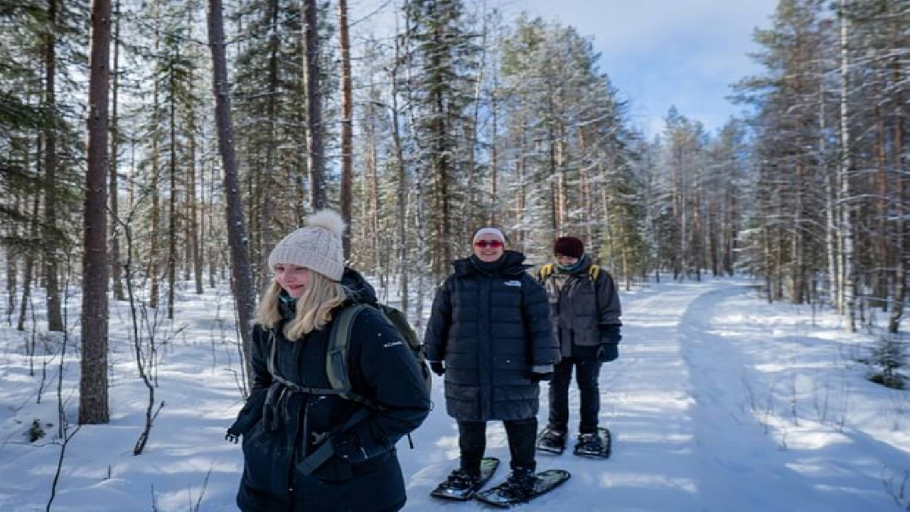 Snowshoe Adventure at Vikaköngäs & Barbeque - Small Group