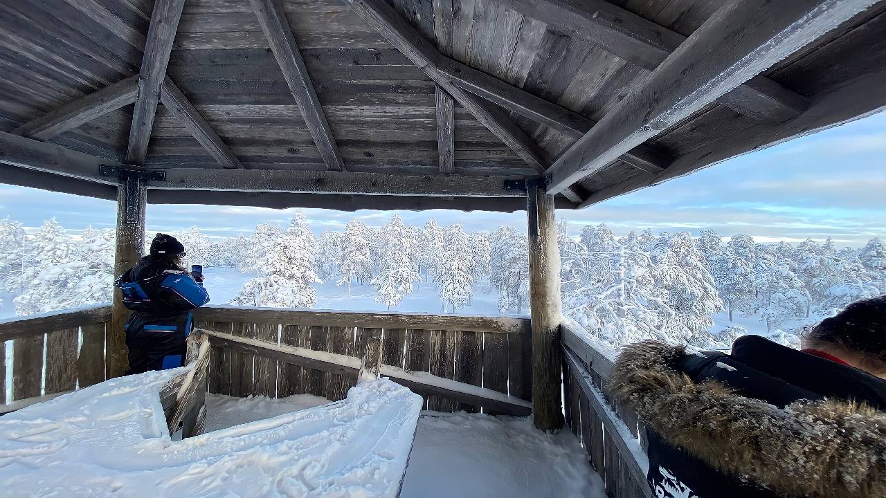 Snowshoe Adventure at Vikaköngäs & Barbeque - Small Group