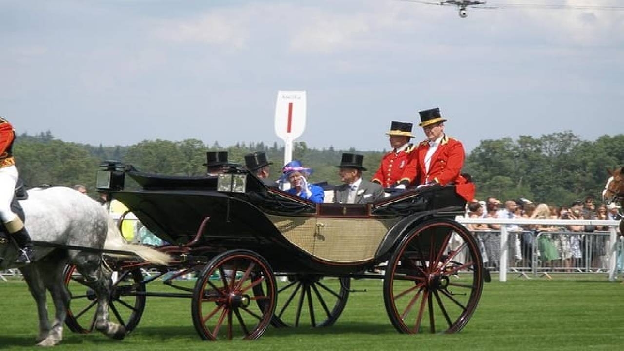 Royal London: Buckingham Palace, Westminster Abbey, Kensington Palace with In-App Audio Tour