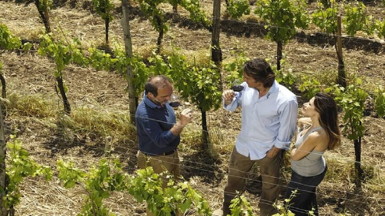 Rome: Frascati Private Day Trip - Town Tour, Lunch & Wine Tasting