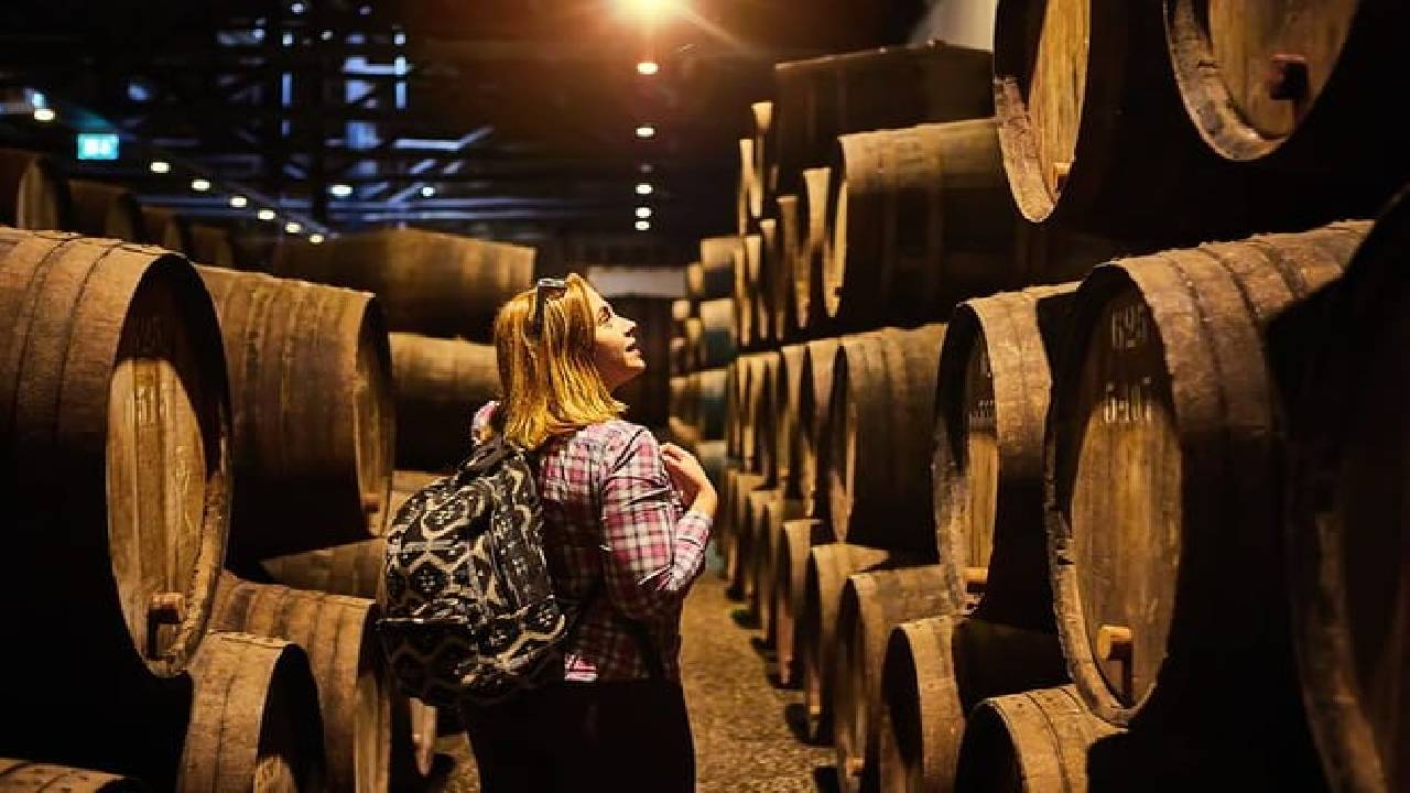 Rome: Frascati Private Day Trip - Town Tour, Lunch & Wine Tasting