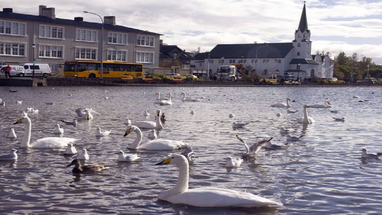 Reykjavik In-App Audio Tour: a Walk Through the World's Northernmost Capital