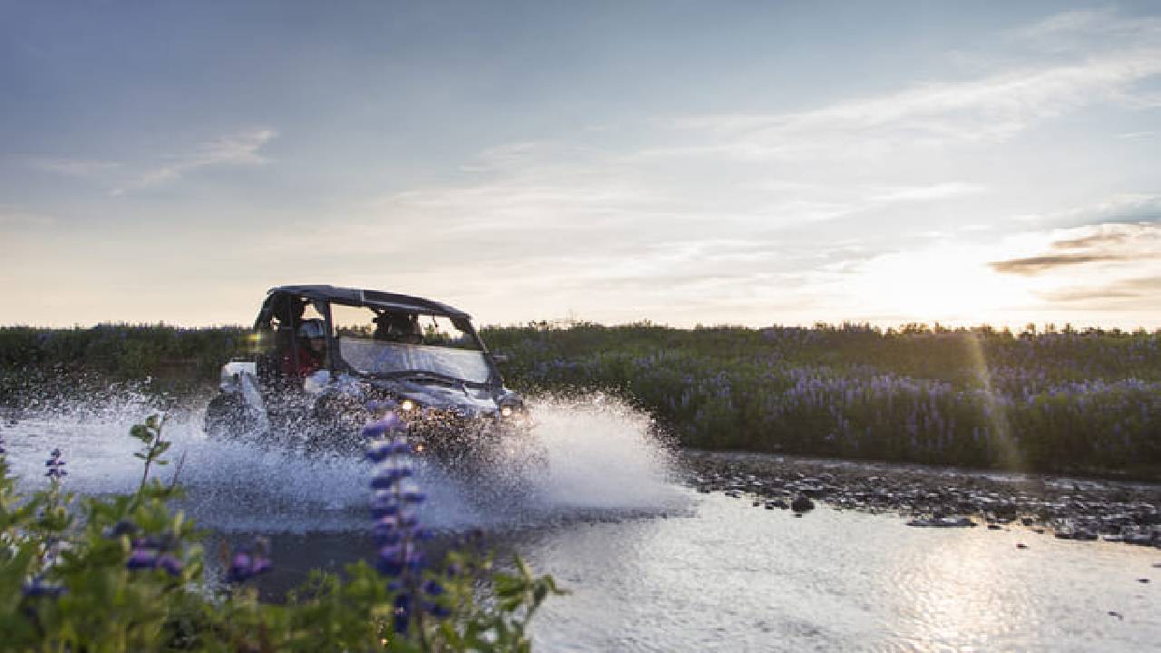 Reykjavík Whales & Buggy