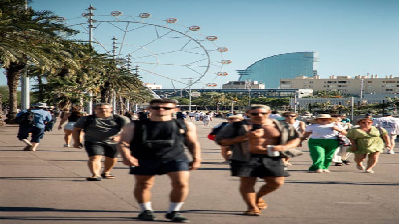 Sunset on a catamaran