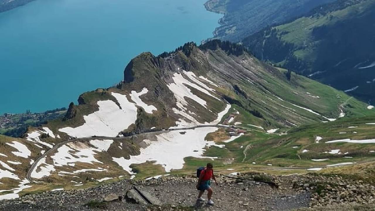 Bernese Alps, Steam Train & Lake Cruise (Private Tour)