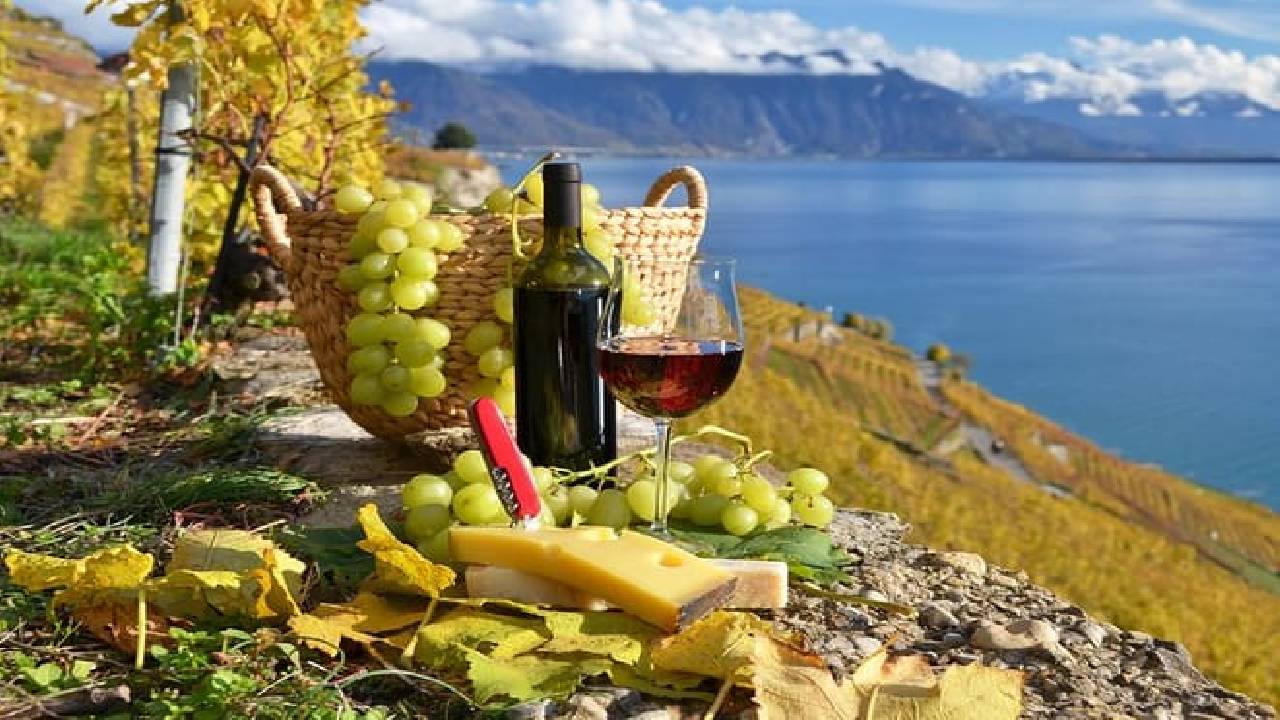 The Vine Tour from Zurich (Private Tour)