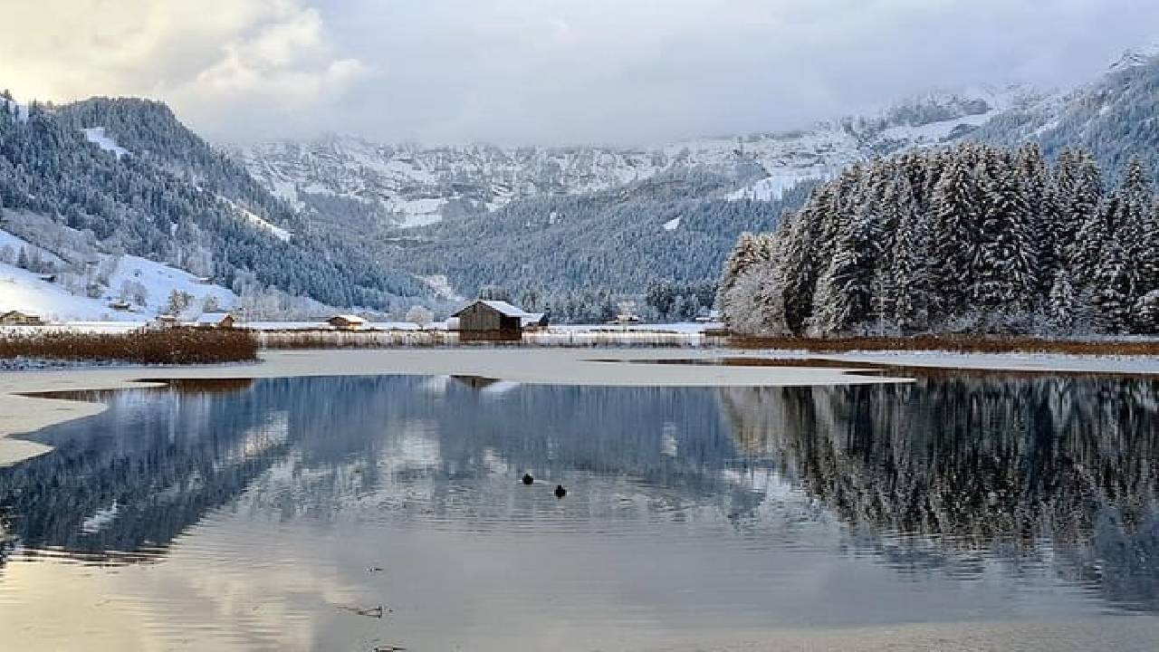 Bernese Oberland Winter Edition from Zurich (Private Tour)